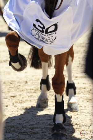 Jumping Cannes